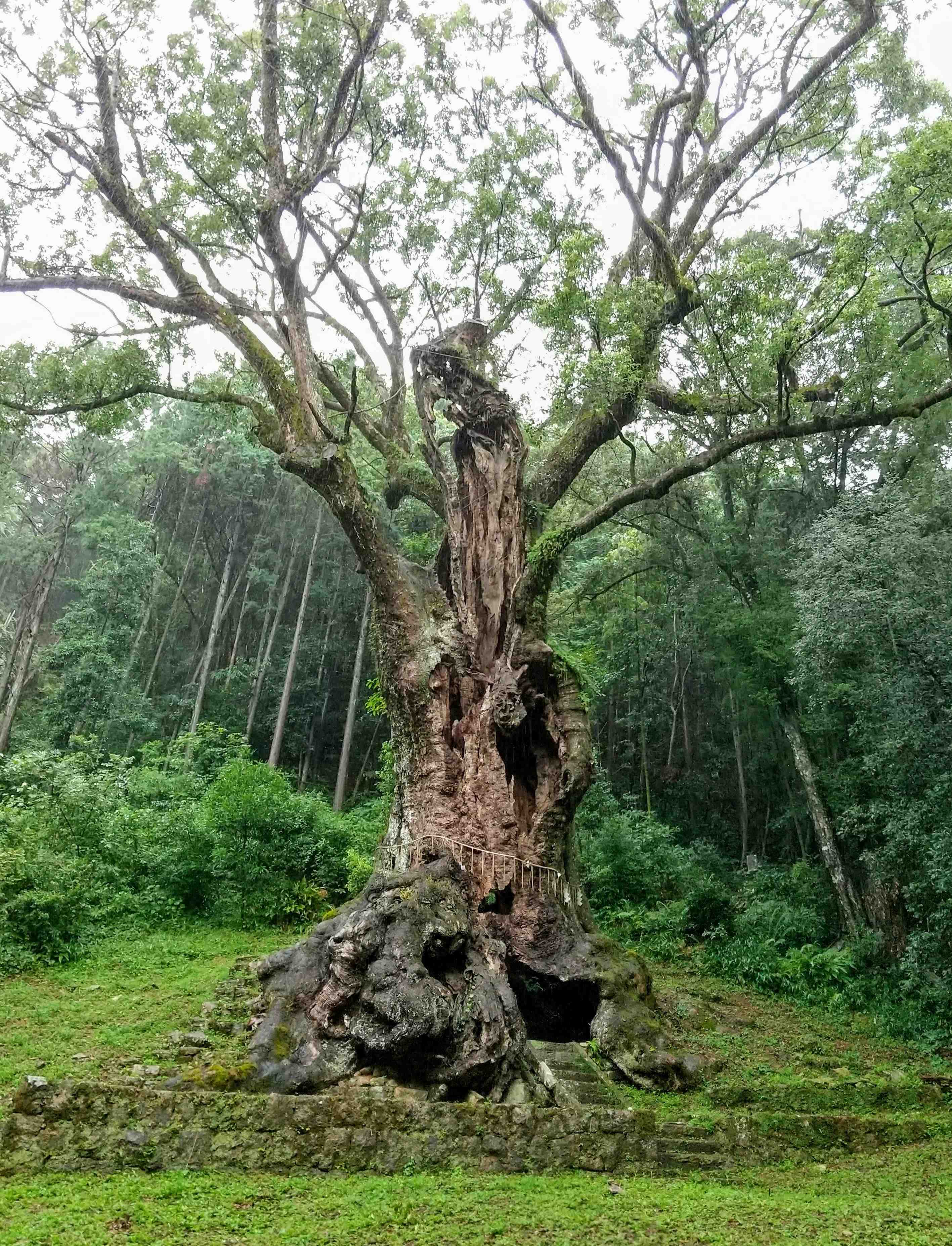 ⛩️ 오쿠 신사(구니가미 오쿠진자) 이미지 4